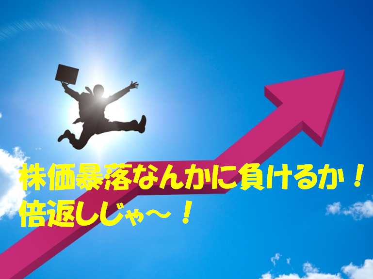 コロナショックで株価暴落から２倍返しが見込めると思えた８銘柄 サラリーマンと個人投資家 株とｆｘ のためのトリセツ